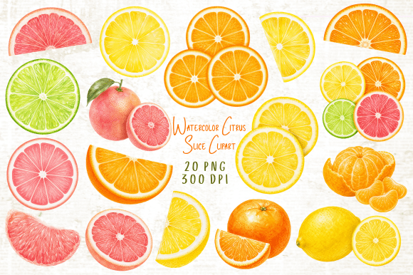 Download Watercolor Citrus Slice Clipart PNG - Citrus Collection