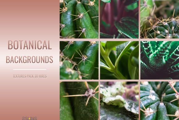 Download Botanical Textures Pack Backgrounds - Botanical Collection