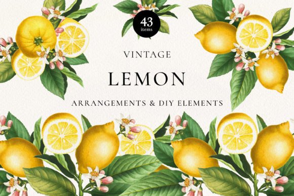 Download Vintage Lemon Citrus Fruits Arrangements - Citrus Collection