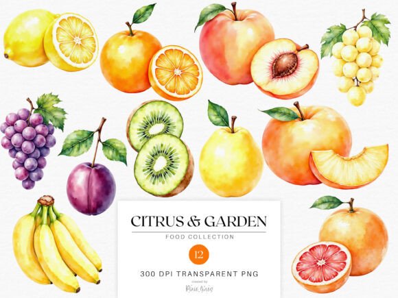 Download Watercolor Fruits - Citrus and Garden - Premium Resources