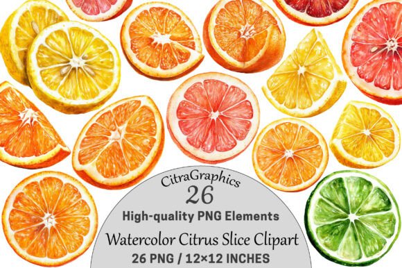 Download Watercolor Citrus Slice Clipart PNG. - Citrus Collection